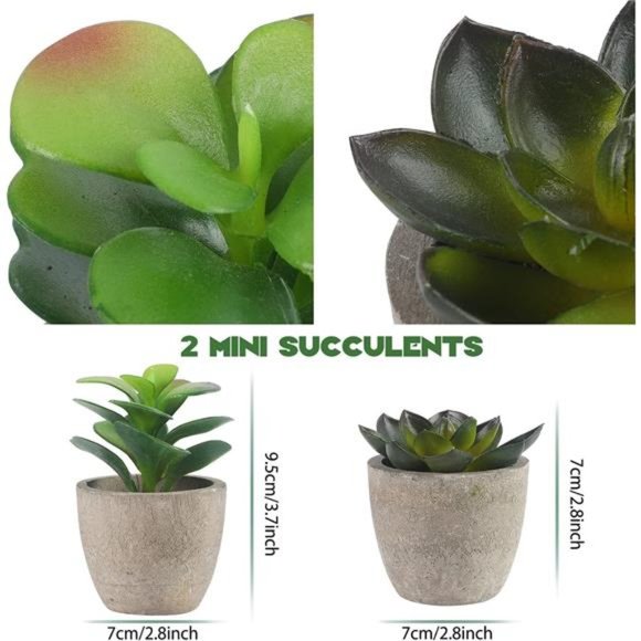 Small Fake Plants Set of 4 - Eucalyptus Rosemary Succulents Plants Artificial - Picture 3 of 6